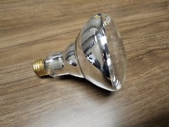 PACK OF 4 GE 100R30/CL 39503 12V POOL SPA INCANDESCENT FLOODLIGHT BULB FREE SHIP