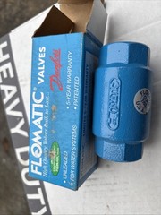 Flowmatic 1 1/4 In Check Valve Epoxy Coated