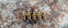 5 Pack New Genuine OEM Kioti Grease Nipple Fitting 802G0-T1900 on Backhoe Loader