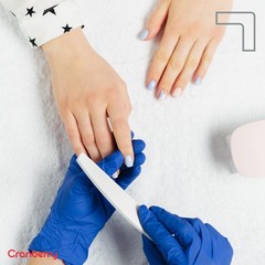 Cranberry USA Evolve Nitrile Powder Free Exam Gloves, 2.0 mil, Medium, 300 Count
