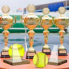 Clear Acrylic Softball Display Case with Wood Base, Memorabilia Stand Cube Ho…