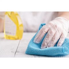 Clear Disposable Vinyl Cleaning Gloves (200 Ct One Size Fits Most)