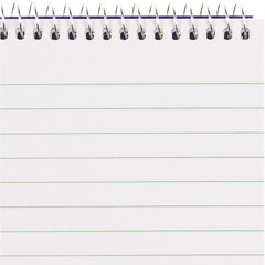 Reporter Notebook 4 x 8 Inches 80 Sheets 160 Pages Writing Journal Notepad