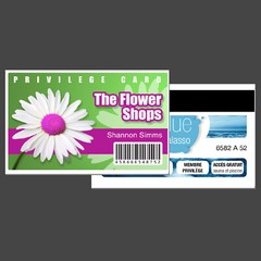 Custom Printed PVC Card Name Badge Printed PVC Plastic Credit Card Sized
