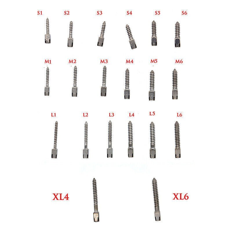 Dental Endo Pure Titanium Assorted Conical Screw Posts Root Canal 20 Size 30 Pcs