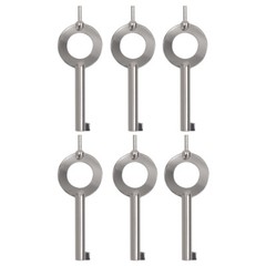 6 Pack Universal Handcuff Keys