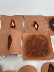 Traumatic Wound Simulation Lot Of 27 For Education Medical Plastics Laboratory