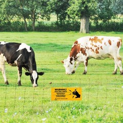 Blulu 8 Pieces Electric Fence Warning Signs 10 10×4 inches, yellow and black