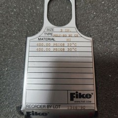 Fike Pressure Relief Solutions POLY-SD BT CS 3 Inch 400.0 PSIG @ 22* C