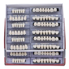 168PC Acrylic Resin Denture #22 Dental Upper Lower Shade A2 Teeth Set USA