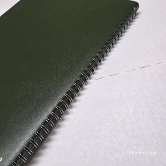 AT-A-GLANCE Recycled Weekly Monthly Appointment Books, 70950G6027 11 in. X 8-1/4