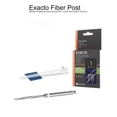 Angelus Exacto Translucent posts trial kit #1. 5 posts & 1 bur #9117