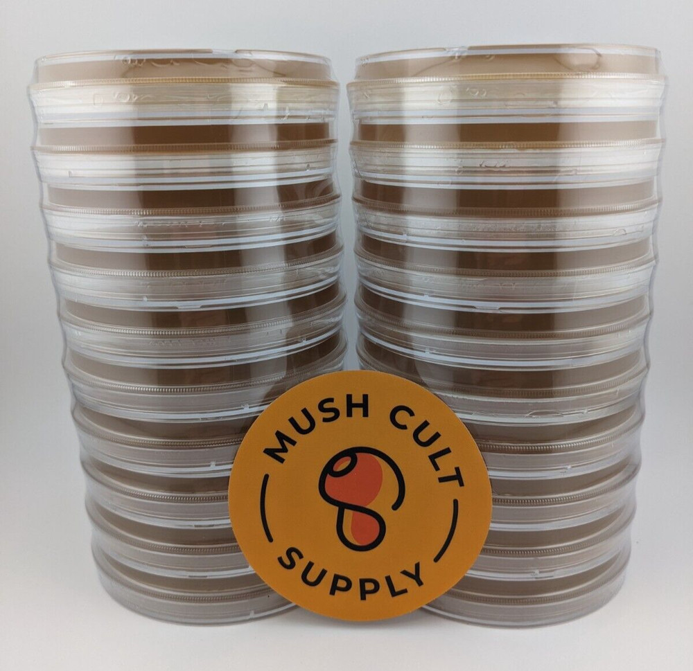 40x mushroom agar plates – sterile, pre-poured, w/ extra parafilm, MEA