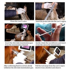 Animal Visual Insemination Rotatable HD Screen Photo Record Artificial GRQA