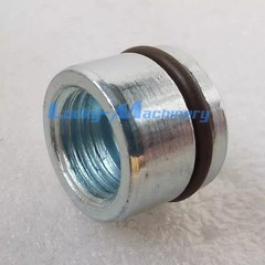 Magnetic Coil Fit For DANA 244613 249571 246356 DT246283 246284 246224 240224