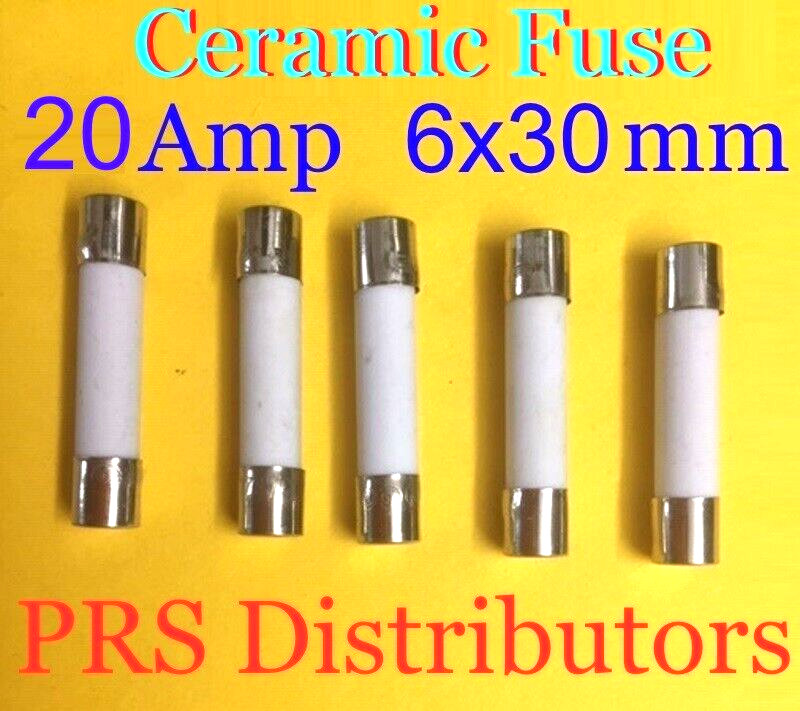 5 Pieces Panasonic Microwave Ceramic Fuse 20A 250V 6X30mm USA SELLER