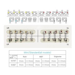 MacDent Dental Orthodontic Brackets Braces Mini Roth MBT Slot 022/018 Hooks 345