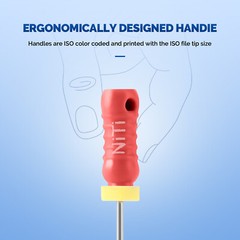 6 Pcs Dental Endo Niti K files Hand Use Root Canal File 21/25/28/31mm