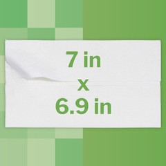 McKesson Flushable* Personal Wipe 6-9/10 X 7 Inch FLF48 1 Pack 48 Wipes