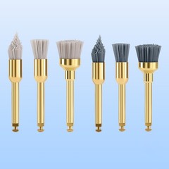 10pc Dental Finishing Finisher Prophy Brushes Aluminium Oxide Polishing Polisher