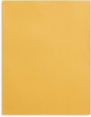 100 Pcs CLASP ENVELOPES 10×13 28lb Kraft Shipping Mailing Gummed Business Manila
