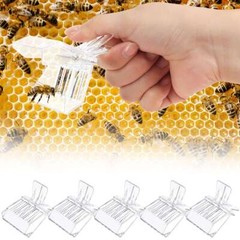 5PCS/Set Queen Bee Catcher Clip Cage Catching Beekeeping Equipment Plastic Clear