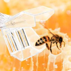 5PCS/Set Queen Bee Catcher Clip Cage Catching Beekeeping Equipment Plastic Clear