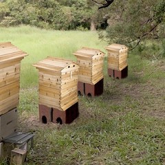 Auto Draining Honey Beehives Cedar Wood Bee House Beekeeping Box Honey House New