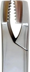 19″ Serrated Jaw Equine Molar Extraction Forceps Equine Dentistry & Oral Care