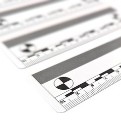 10cm Photomacrographic Scales, 5pk