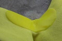 Pip 34-8743FY 12 Pk Size XS / 6 Yellow Cut-Resistant Glove