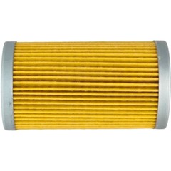 Fuel Filter SBA130366060 Fit for Ford New Holland 3040 3045 3050 3415 4055 4060