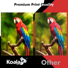 Koala Transparency Clear Film for Projectors Laser + Inkjet Printers Craft Arts