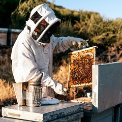 Bee Suit for Men Women XL Beekeeping Suit with Glove and Veil Hood for BeeKeeper