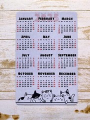 Cat Lover Calendar Magnet 4″ x 6″ | Start On Any Month | Magnetic Calendar