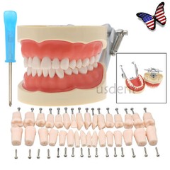 Kilgore Nissin 200 Type Dental 32pc Typodont Model Removable Teeth Mounting Pole