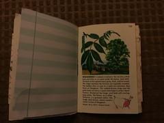 Handmade Naked Junk Journal 6” x 4.5” Mushroom Print Card Stock Cover