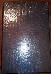 STAPLES JOURNAL 96 RULED SHEETS SILVER BLUE SPARKLES Star Latch Closer Journal