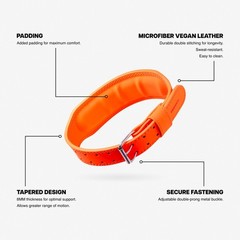 Uppper Weight Lifting Belt – Double Prong 4 To 2.5 Tapered Premium Lifting Belt