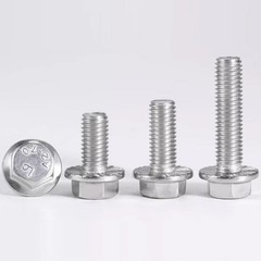 M4 M5 M6 M8-M12 Flanged Hexagon Head Bolts Flange Hex Screws A2 Stainless Steel