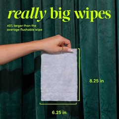Flushable Wet Wipes Lavender Scented Personal Hygiene Moist Towelettes 3 Pack
