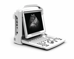 Chison ECO3 Vet Ultrasound With Equine Rectal Probe -Warranty 3 Years Used