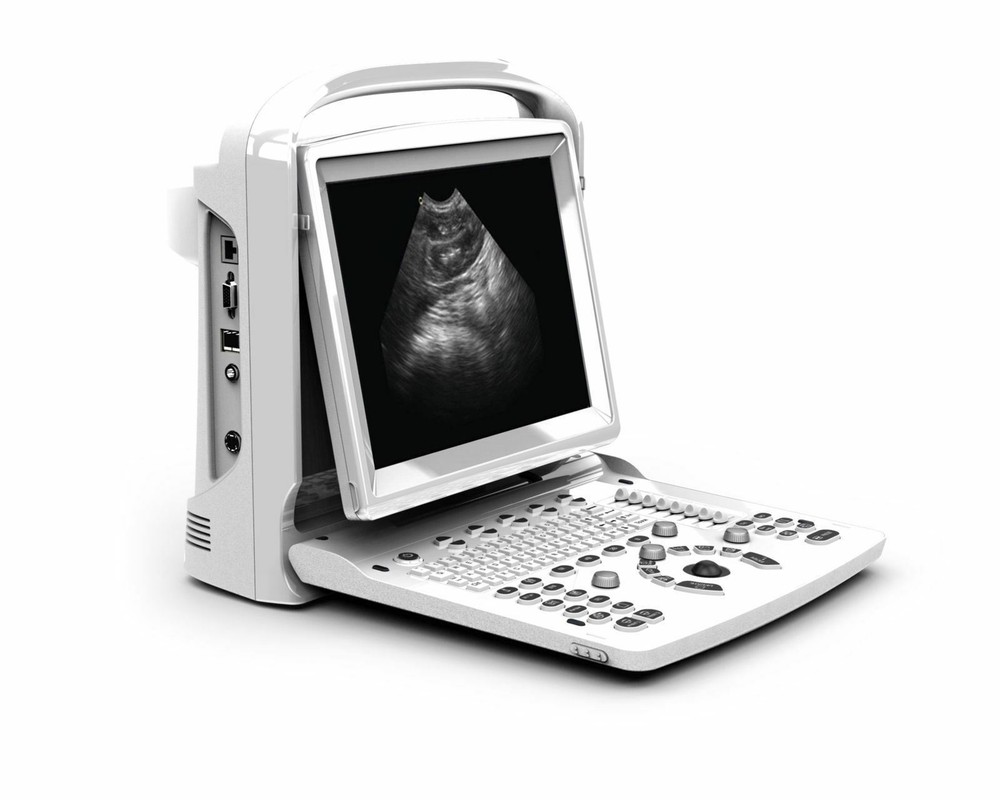 Chison ECO3 Vet Veterinary Ultrasound With Equine Rectal Probe Warranty 3 Years