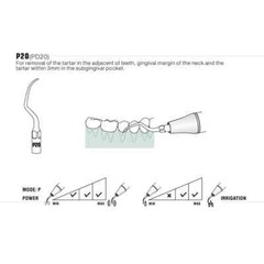Dental Ultrasonic Scaler P20 Scaling Endo Perio Tips Fit For EMS/Woodpecker