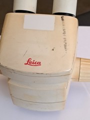 Leica MS5 Stereoscope