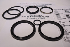 REPLACES 126548 LEON SEAL KIT (3″ Bore & 2″ Rod) 3″ CYLINDERS (See Text)