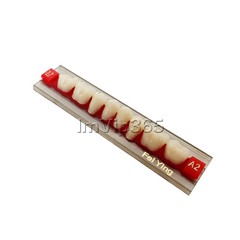 Acrylic Synthetic Resin Denture Teeth Vita Color Shade A2/A3 Upper Lower -84Pcs