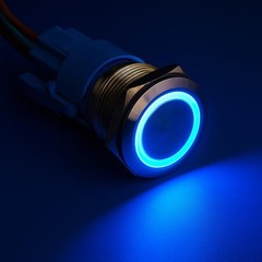 0.87 Inch/22mm Stainless Steel Momentary Push Button 12v24v Led 1no1nc Spdt On O