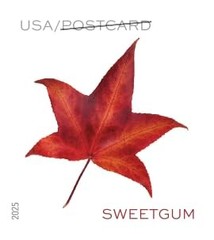 United States Postal Service Vibrant Leaves 2025 Postcard Rate 2 Sheets Of 20