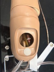 Gaumard Right Handed Training Arm Manikin